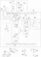 THROTTLE BODY