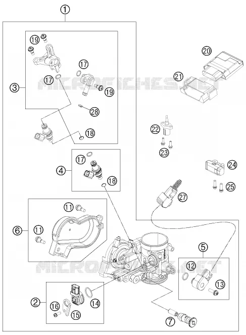 THROTTLE BODY