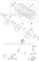 CLUTCH