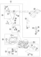 THROTTLE BODY