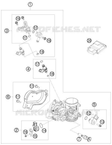 THROTTLE BODY