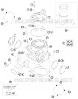 CYLINDER / HEAD
