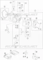 THROTTLE BODY