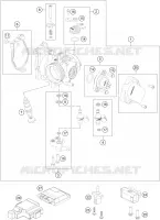 THROTTLE BODY