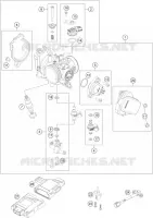THROTTLE BODY